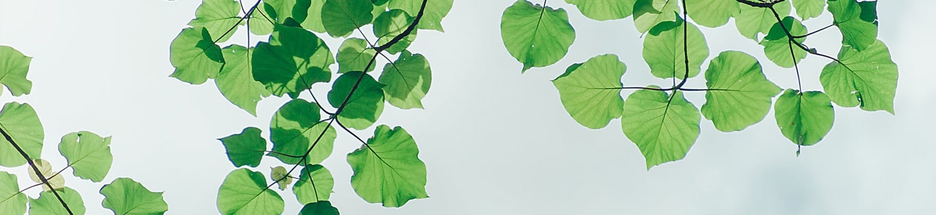 Whitehorse Dental environmental initiatives